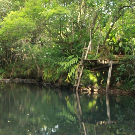 Casa De Campo - Sitio Da Tia Vera Villa Maquiné Buitenkant foto